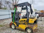 2015 Yale GLC050LXNDAV062 Forklift