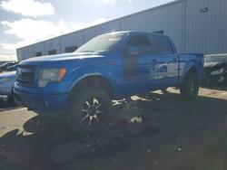 Ford salvage cars for sale: 2013 Ford F150 Supercrew