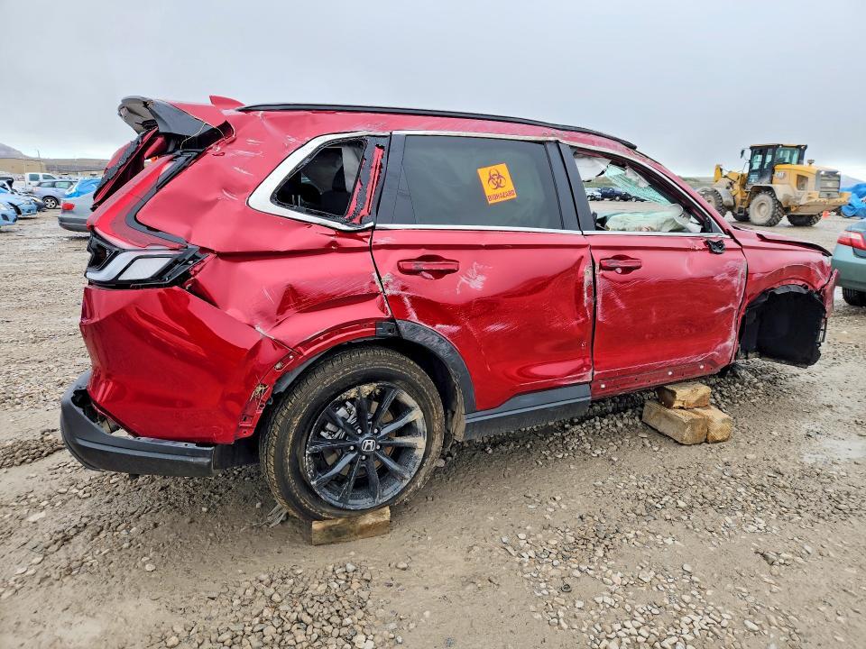 2025 Honda Cr-v Sport