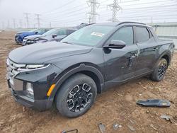 Salvage trucks for sale at Elgin, IL auction: 2022 Hyundai Santa Cruz SEL
