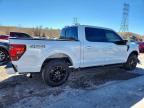 2025 Ford F150 XLT