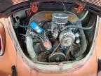 1971 Volk Beetle