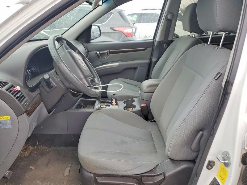 2010 Hyundai Santa fe gls