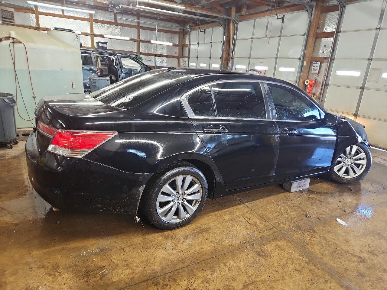 2011 Honda Accord exl