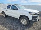 2023 Chev Colorado