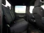 2025 Ford F150 XLT