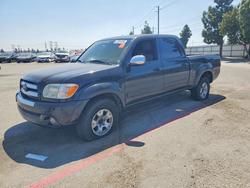 Salvage trucks for sale at Rancho Cucamonga, CA auction: 2005 Toyota Tundra SR5