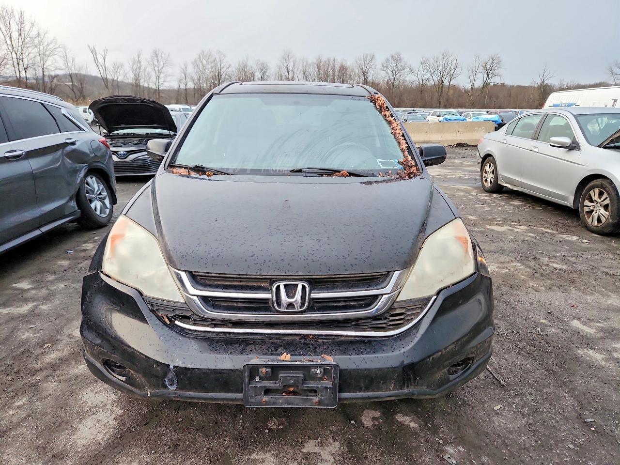 2010 Honda Cr-v exl