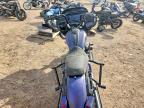 2025 Harley-Davidson Fltrx