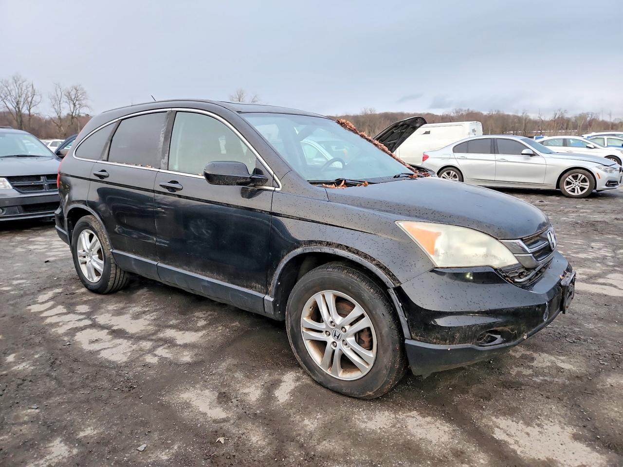 2010 Honda Cr-v exl