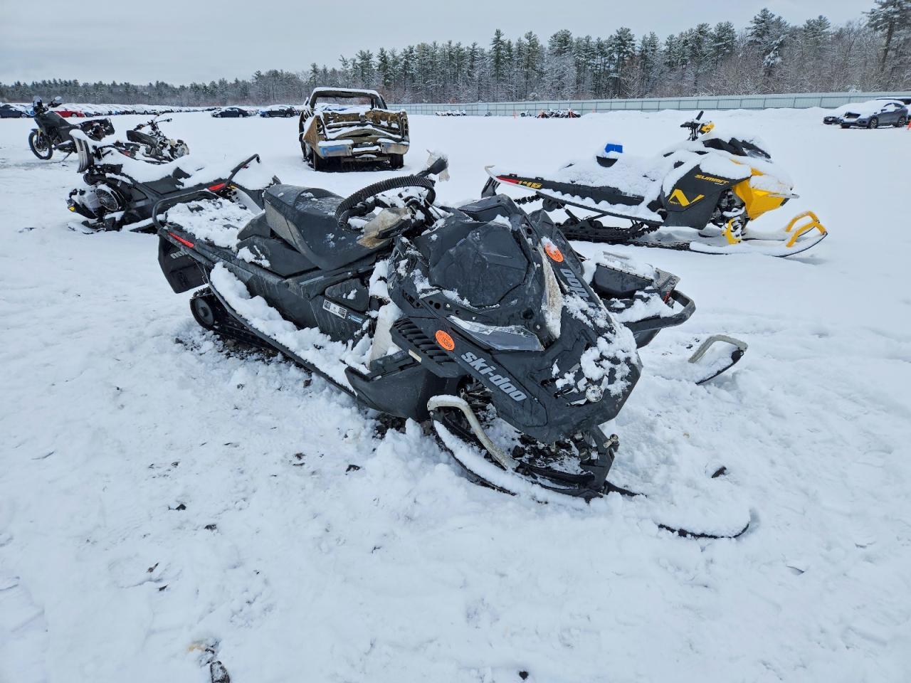 2019 Skidoo Renegade 900 ACE