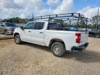 2020 Chevrolet Silverado C1500
