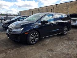 Honda Odyssey salvage cars for sale: 2025 Honda Odyssey Elite