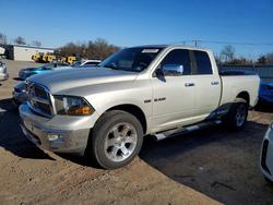 Salvage trucks for sale at Hillsborough, NJ auction: 2010 Dodge RAM 1500