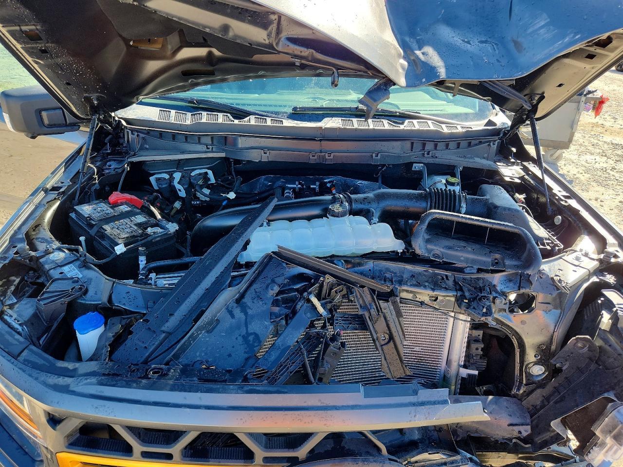 2025 Ford F150 Tremor