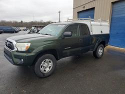 Camiones de alquiler a la venta en subasta: 2013 Toyota Tacoma V6