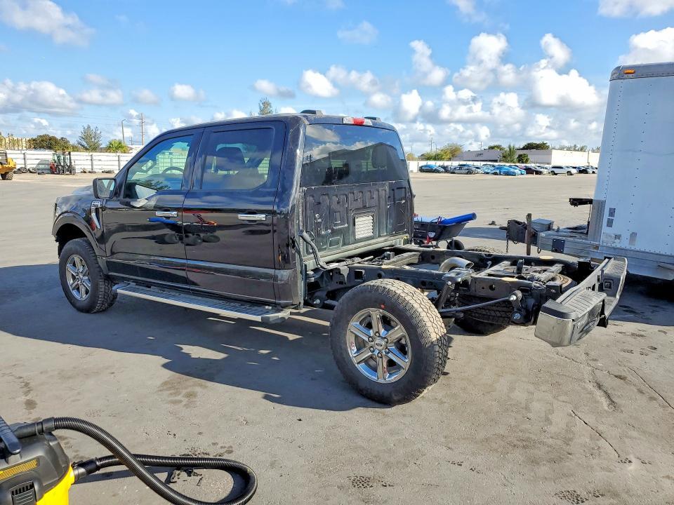 2025 Ford F150 XLT