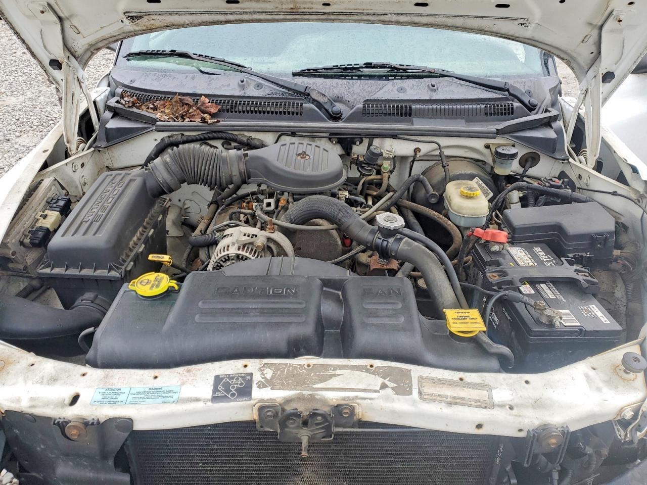 2000 Dodge Dakota