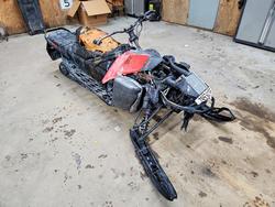 2022 Other Renegade for sale in Kincheloe, MI