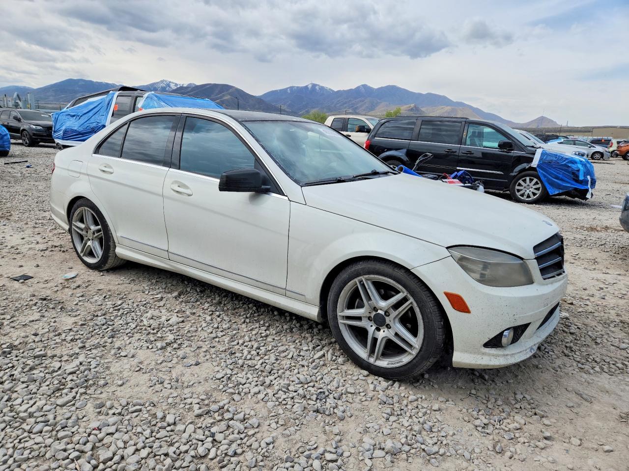 2010 Mercedes-Benz C300