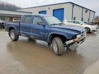 2001 Dodge Dakota Quattro