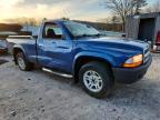 2004 Dodge Dakota SXT