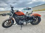 2020 Harley-Davidson XL883 N