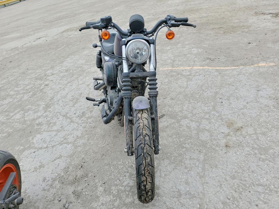 2019 Harley-Davidson XL883 N