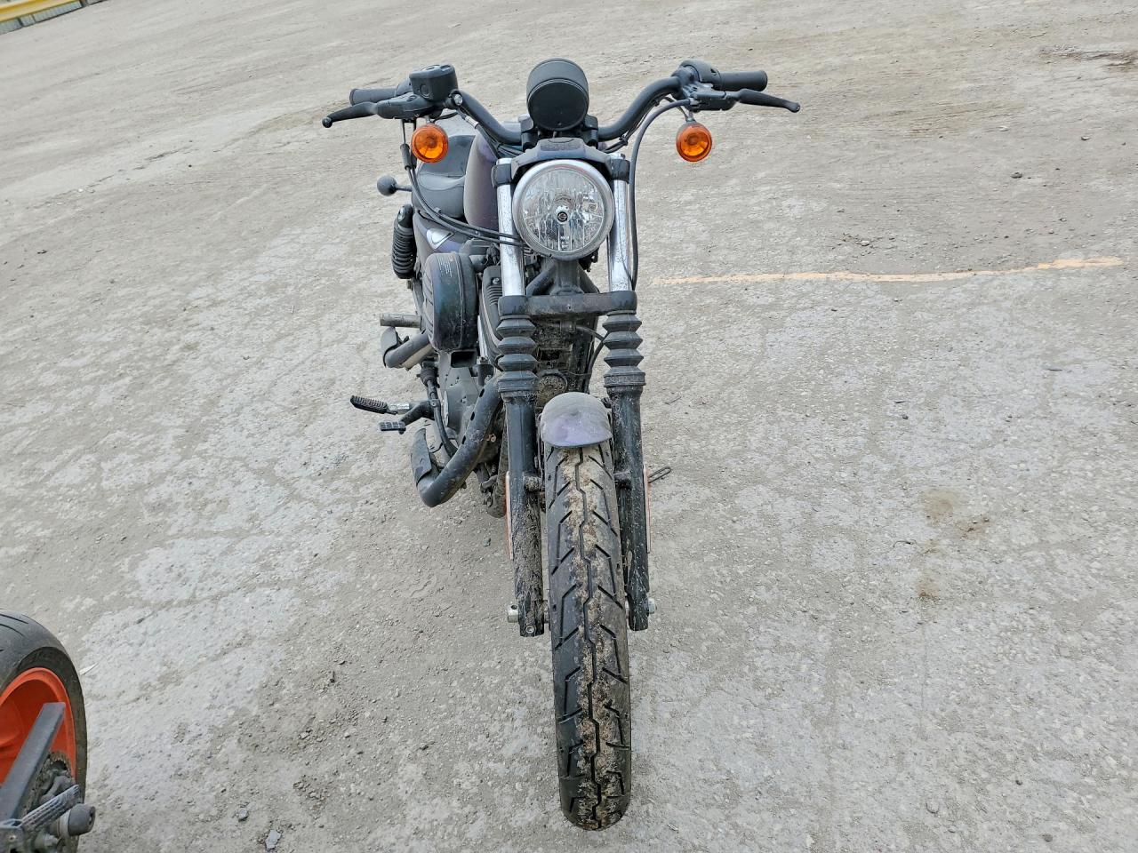 2019 Harley-Davidson XL883 N