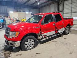 Salvage trucks for sale at Rogersville, MO auction: 2013 Ford F150 Supercrew