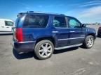 2007 Cadillac Escalade Luxury
