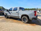 2024 Chevrolet Silverado K1500 Trail Boss Custom