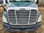 2018 Freigliner Cascadia 113