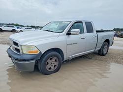 Salvage trucks for sale at Homestead, FL auction: 2011 Dodge RAM 1500