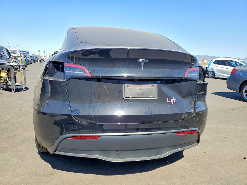 2025 Tesla Model y