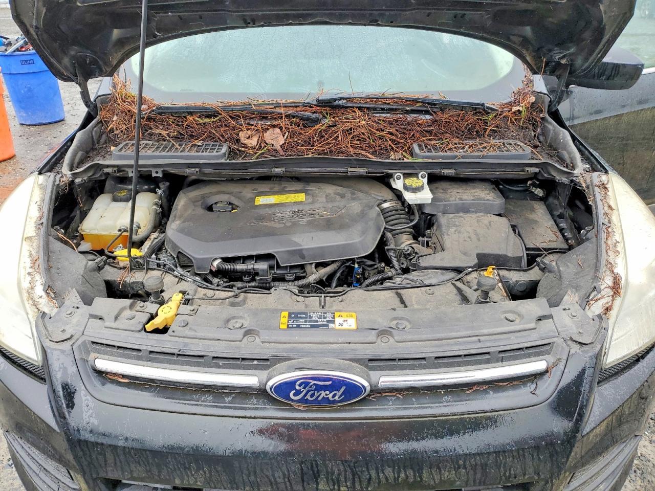 2014 Ford Escape se