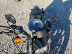 2022 Harley-Davidson XL883 N