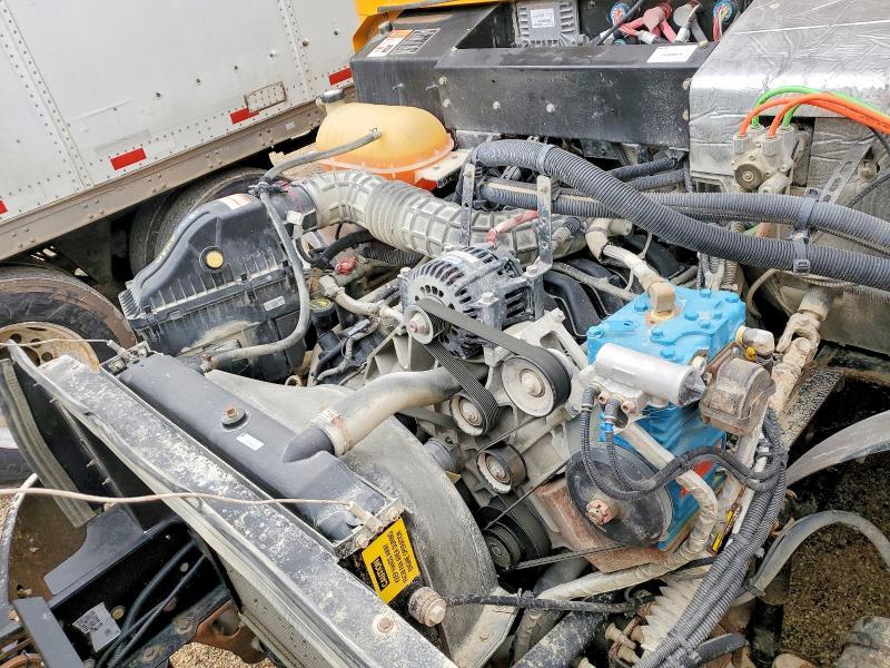 2018 Bluebird School Bus