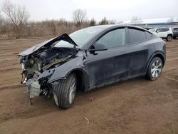 Tesla Model y salvage cars for sale: 2023 Tesla Model y