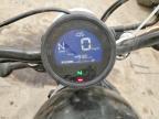 2024 Honda CMX500