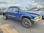 2004 Dodge Dakota Quad SLT