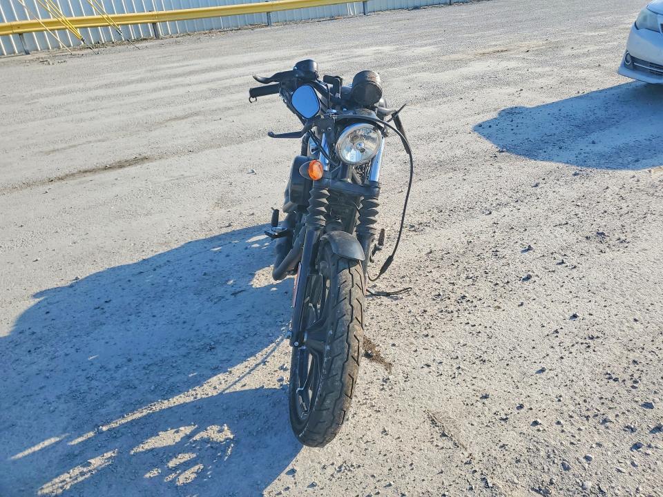 2019 Harley-Davidson XL883 N