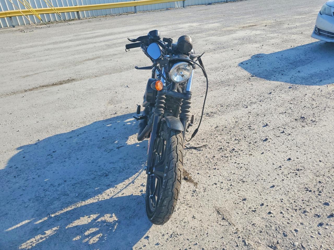 2019 Harley-Davidson XL883 N