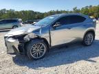 2026 Lexus Nx 350h Luxury