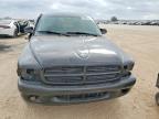 2003 Dodge Dakota SXT
