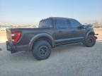 2023 Ford F150 Raptor