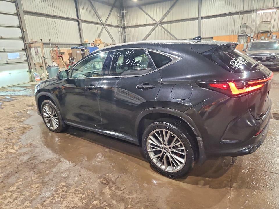 2023 Lexus Nx 350 Premium