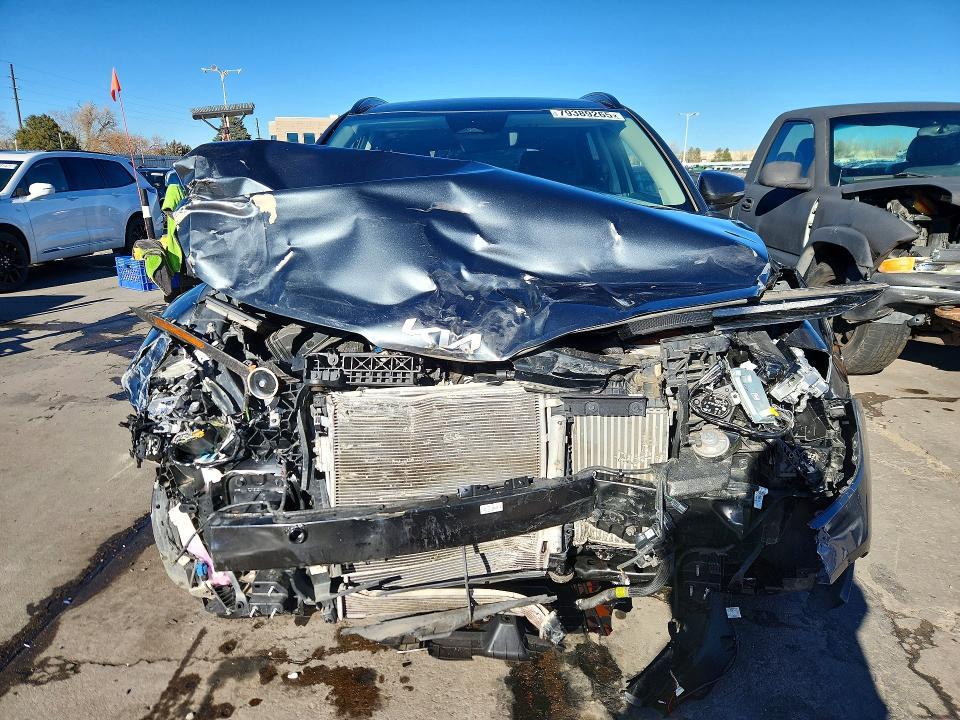 2025 KIA Sportage Hybrid ex