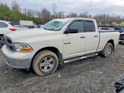 Salvage cars for sale from Copart Waldorf, MD: 2009 Dodge RAM 1500