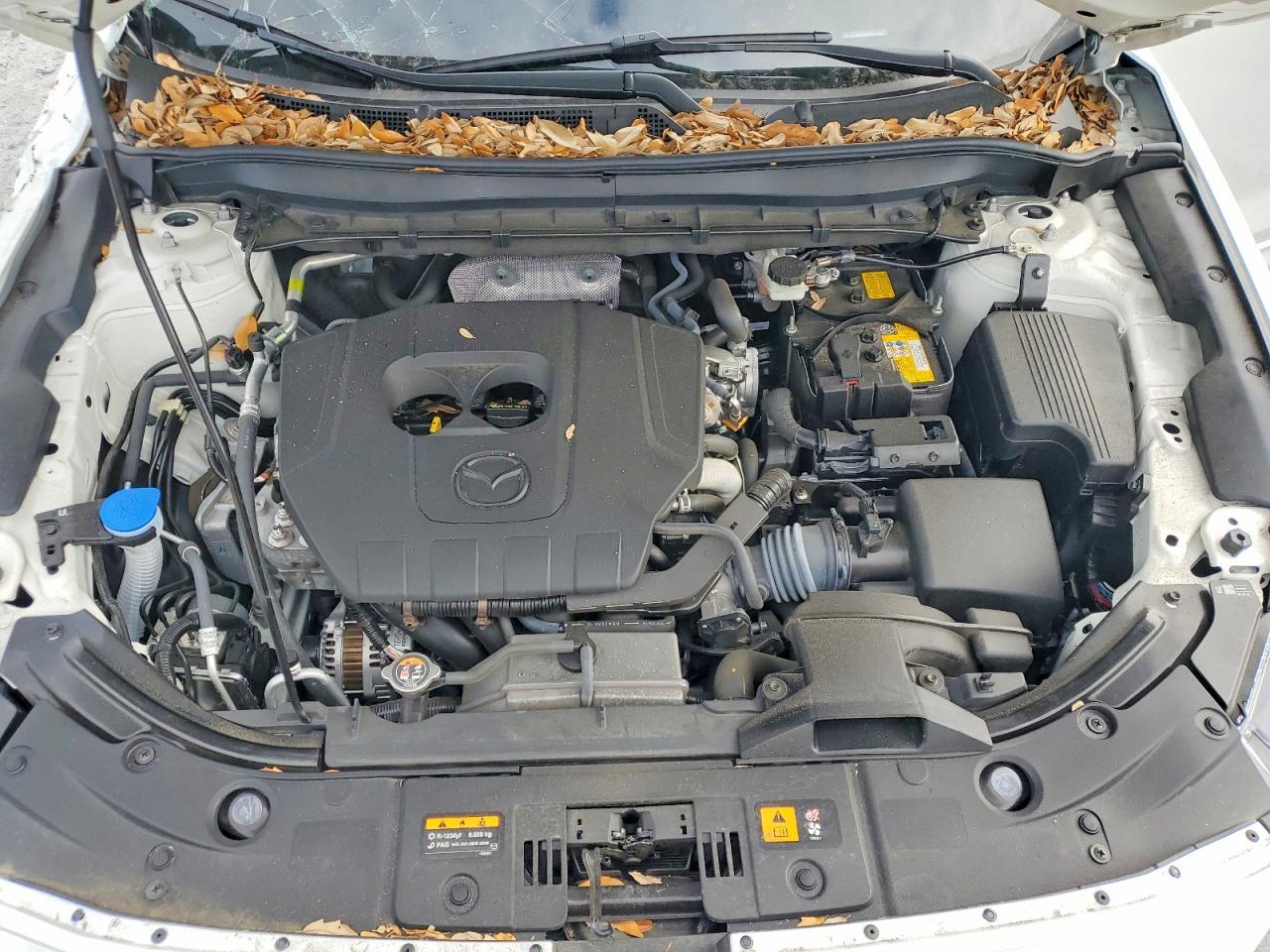 2024 Mazda Cx-5 Preferred